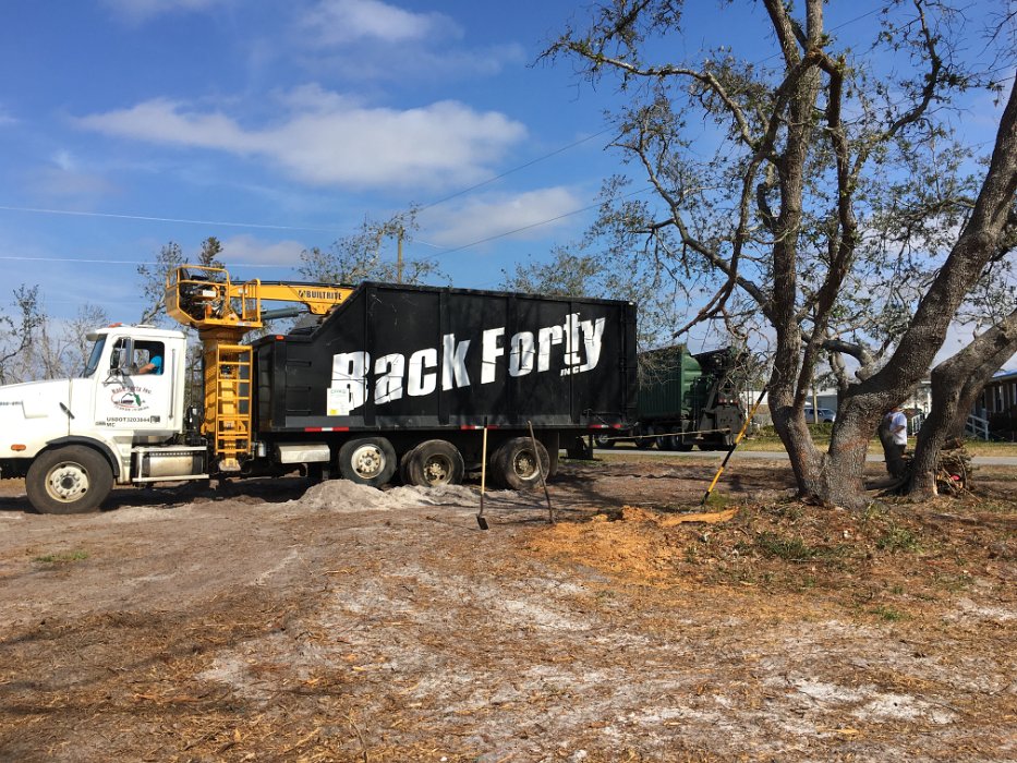 16-getting pulled out.jpg